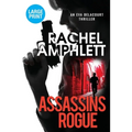 Assassins Rogue
