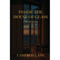 Inside the House of Glass: a novel of staying