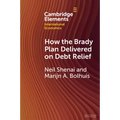 How the Brady Plan Delivered on Debt Relief