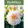 Dahlias: Inspiration, Cultivation and Care for 222 Varieties