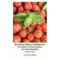 Best Herbal Medicine and Healing Food From Nature to Prevent Insomnia Plus Make Sleep Better English Edition