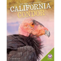 California Condor