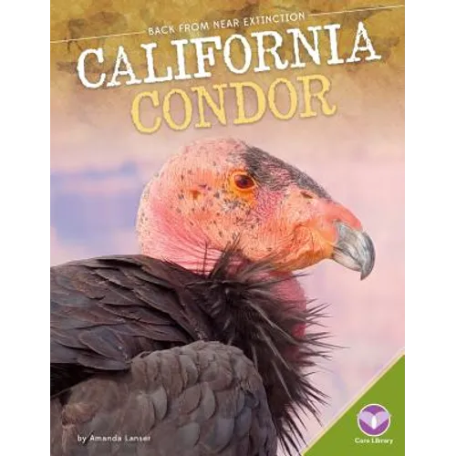 California Condor