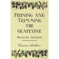 Pruning and Trimming the Grapevine - Selected Articles