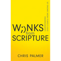 Winks from Scripture: Understanding God's Subtle Work Among Us
