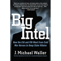 Big Intel: How the CIA and FBI Went from Cold War Heroes to Deep State Villains