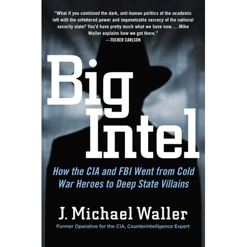 Big Intel: How the CIA and FBI Went from Cold War Heroes to Deep State Villains