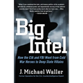 Big Intel: How the CIA and FBI Went from Cold War Heroes to Deep State Villains