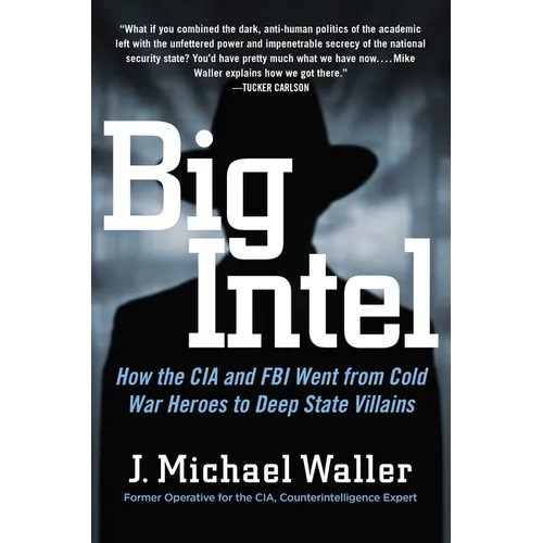 Big Intel: How the CIA and FBI Went from Cold War Heroes to Deep State Villains