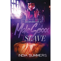 Memoirs of a Male Sexxx Slave