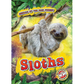 Sloths