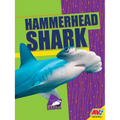 Hammerhead Shark