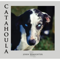 Catahoula: Louisiana State Dog