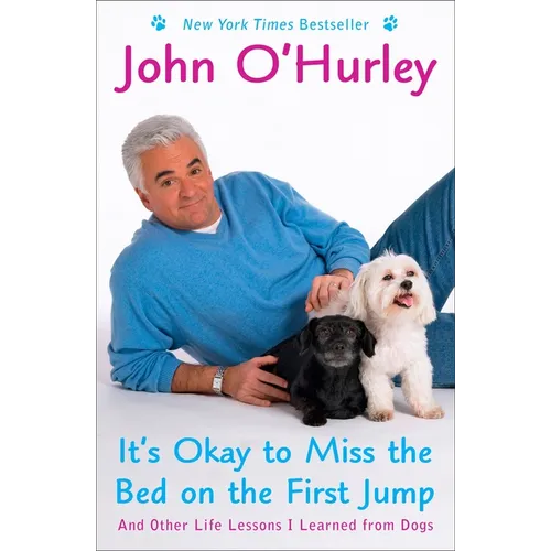 It's Okay to Miss the Bed on the First Jump: And Other Life Lessons I Learned from Dogs