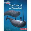 The Life of a Narwhal