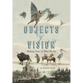 Objects of Vision: Making Sense of What We See