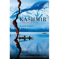 Kashmir: The Unfiltered Truth - Analysis, Experiences and Investigations