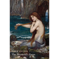 The Mermaid's Purse