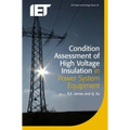 Condition Assessment of High Voltage Insulation in Power System Equipment