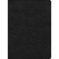 CSB Apologetics Study Bible, Black Leathertouch