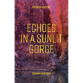 Echoes In A Sunlit Gorge: Poems of meeting