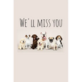 We'll miss you: Perfect goodbye gift for coworker that is leaving / going away gift for your co worker, boss, manager, employee.