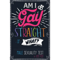 Am I Gay, Straight or What? Male Sexuality Test: Prank Adult Puzzle Book for Men