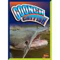Goonch Catfish
