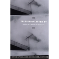 Television after TV: Essays on a Medium in Transition