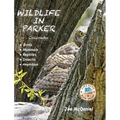 Wildlife In Parker: Colorado