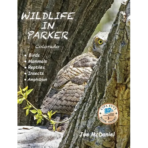 Wildlife In Parker: Colorado