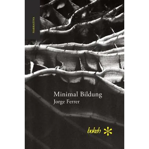Minimal Bildung. Veintinueve escenas para una novela sobre la inercia y el olvido