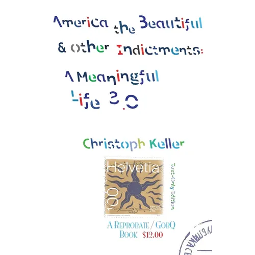 America the Beautiful & Other Indictments: A Meaningful Life 3.0