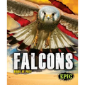 Falcons