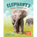 Elephant's New Brother