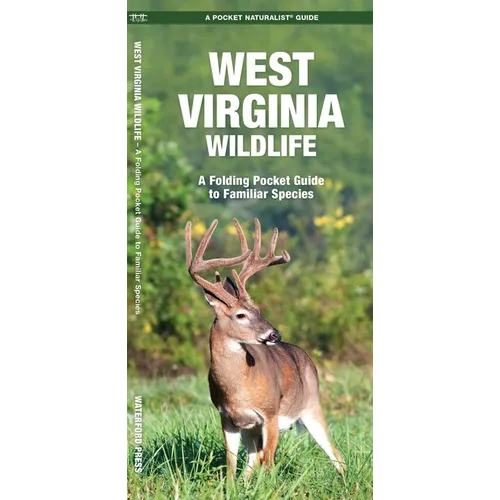 West Virginia Wildlife: A Folding Pocket Guide to Familiar Species
