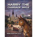 Harry The Carriage Mule