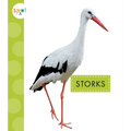 Storks