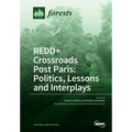 REDD+ Crossroads Post Paris: Politics, Lessons and Interplays