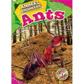 Ants