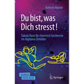 Du Bist, Was Dich Stresst!: Tabula Rasa Für Chronisch Gestresste Im Digitalen Zeitalter