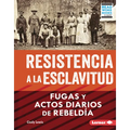 Resistencia a la Esclavitud (Resistance to Slavery): Fugas Y Actos Diarios de Rebeldía (from Escape to Everyday Rebellion)