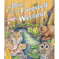 A Day in a Forested Wetland