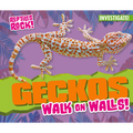 Geckos Walk on Walls!