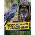 Ravens and Wolves Team Up!