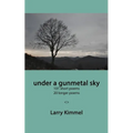 under a gunmetal sky: 101 short poems 20 longer poems