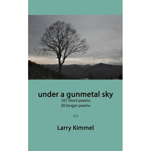under a gunmetal sky: 101 short poems 20 longer poems