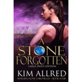 A Stone Forgotten Large Print: Time Travel Adventure Romance