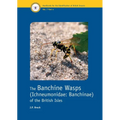 The Banchine Wasps (Ichneumonidae: Banchinae) of the British Isles