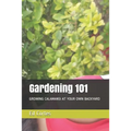 Gardening 101: Growing Calamansi at Your Own Backyard